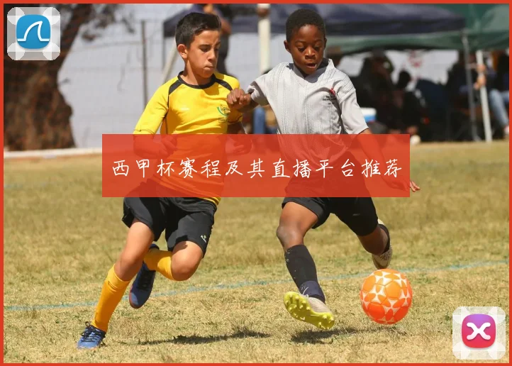 西甲杯赛程及其直播平台推荐