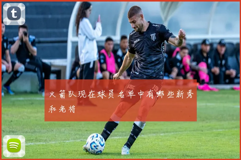 火箭队现在球员名单中有哪些新秀和老将