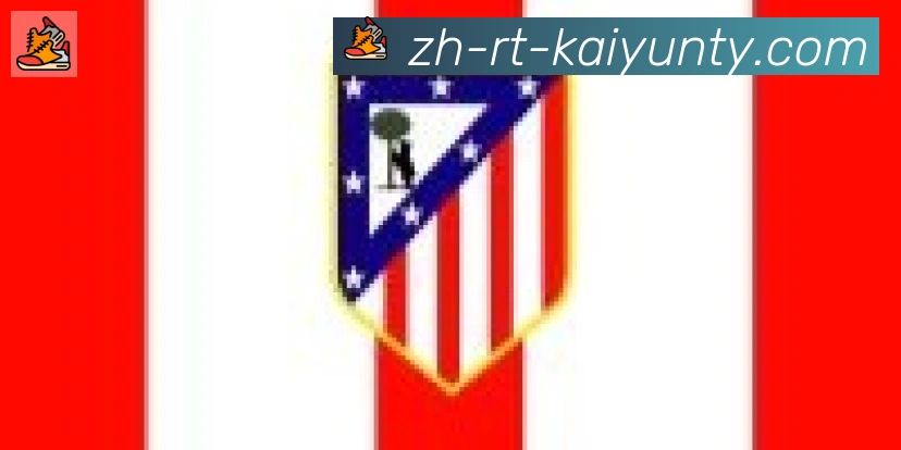 KY开云体育合作伙伴